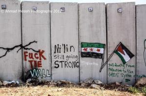 Palestin fuck the wall solidarity with Syria